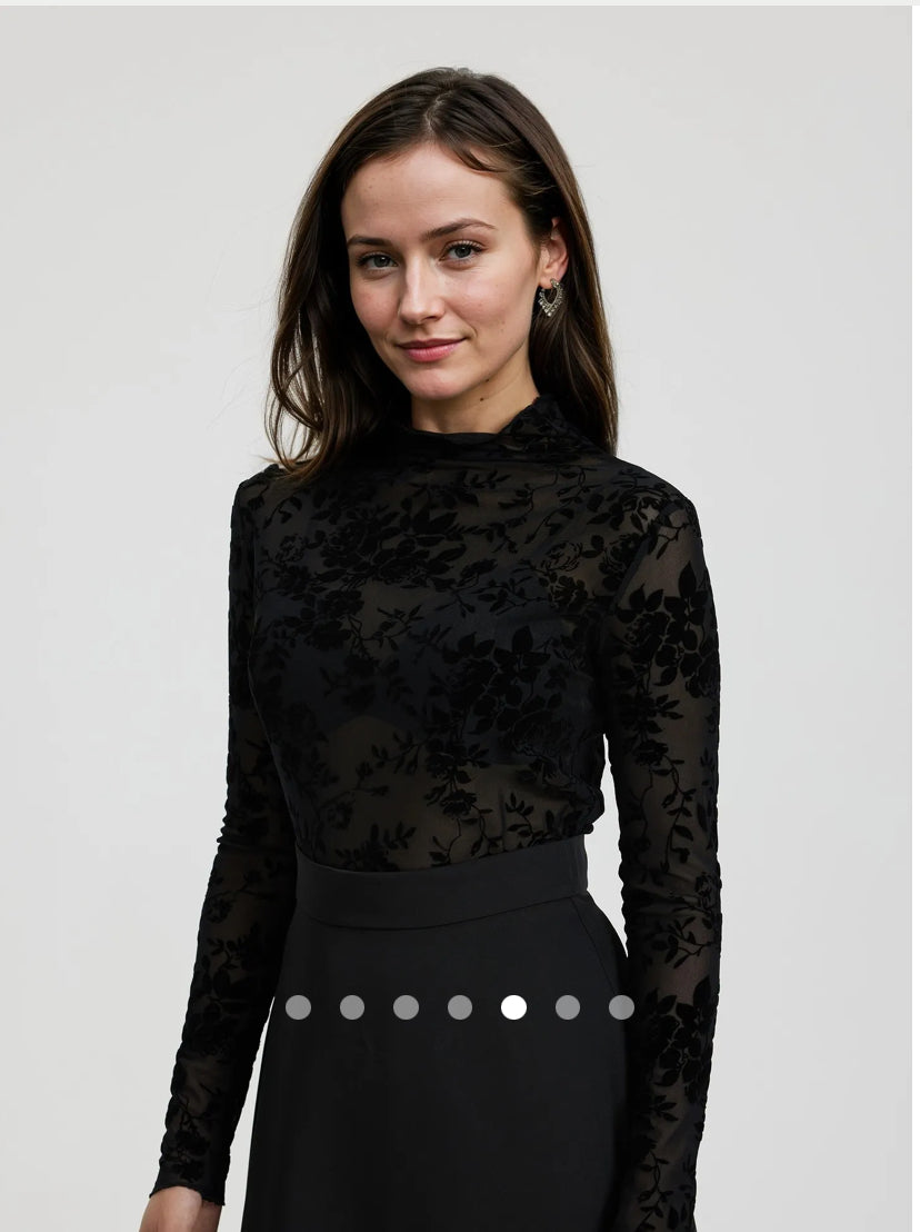 SHEER PULLOVER TOP
