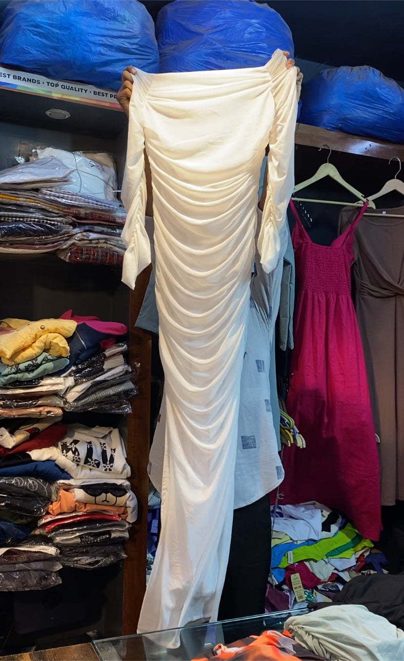 Bodycon full sleeve floor touch dress