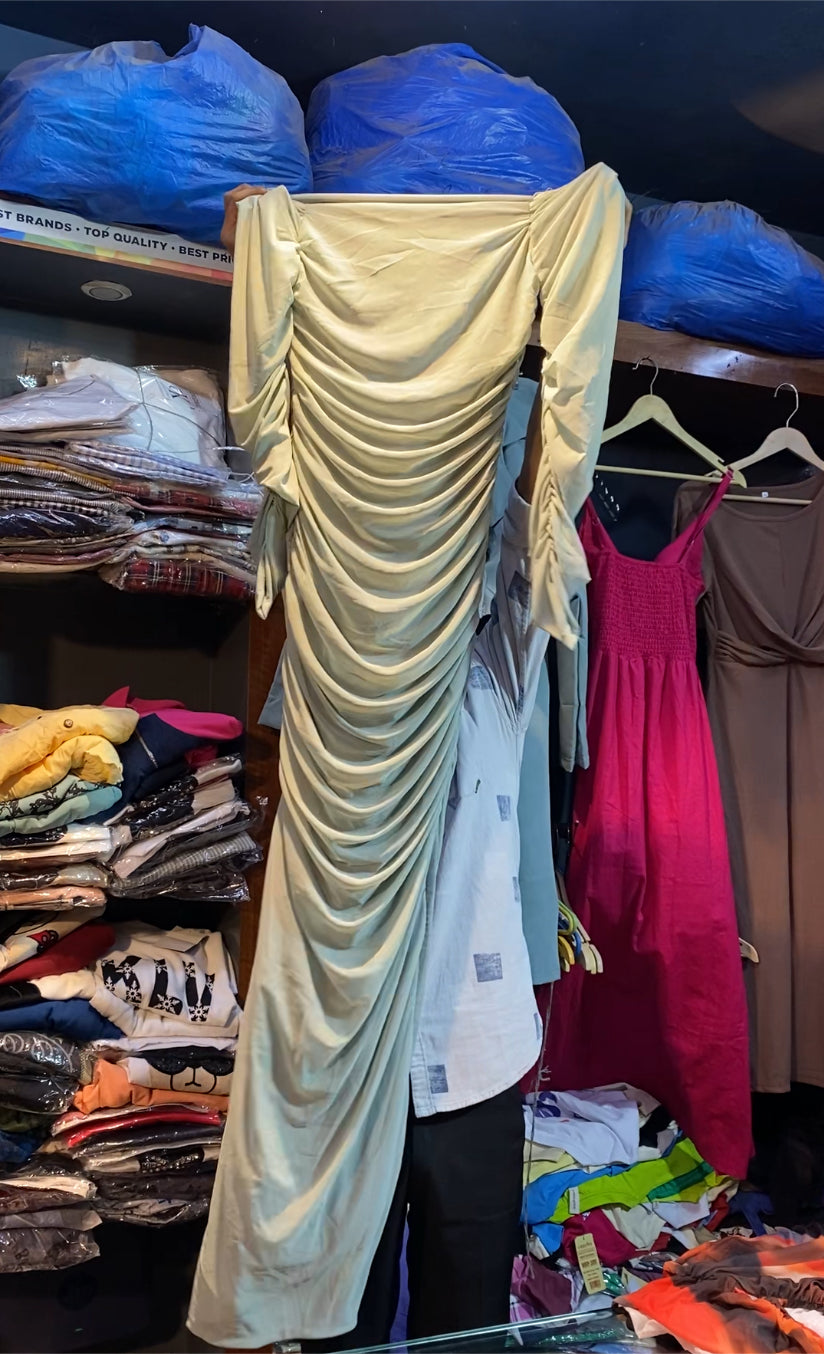 Bodycon full sleeve floor touch dress